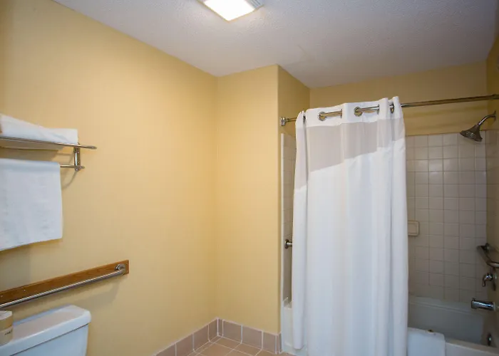 Vagabond Executive 2* Green Valley