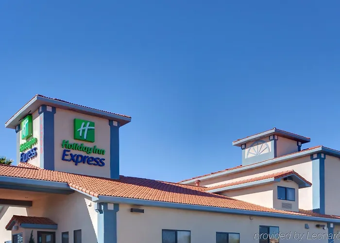 Vagabond Executive Green Valley